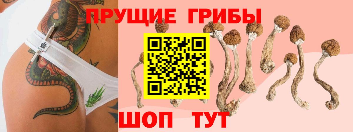 Белорецк  Псилоцибиновые грибы GOLDEN TEACHER  Вход с VPN 